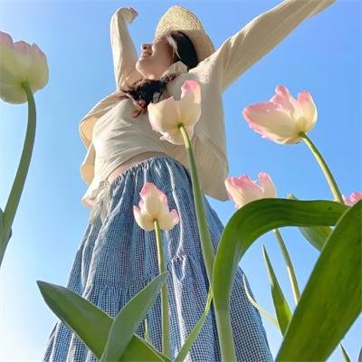天鸟的喧嚣